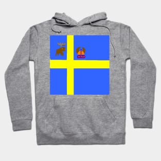Sporty Swedish Design on White Background Hoodie